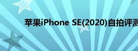 苹果iPhone SE(2020)自拍评测