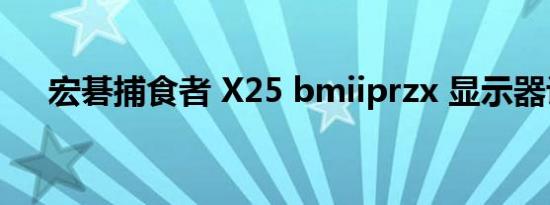 宏碁捕食者 X25 bmiiprzx 显示器评论