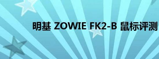 明基 ZOWIE FK2-B 鼠标评测