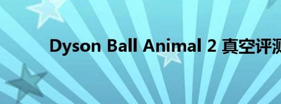 Dyson Ball Animal 2 真空评测