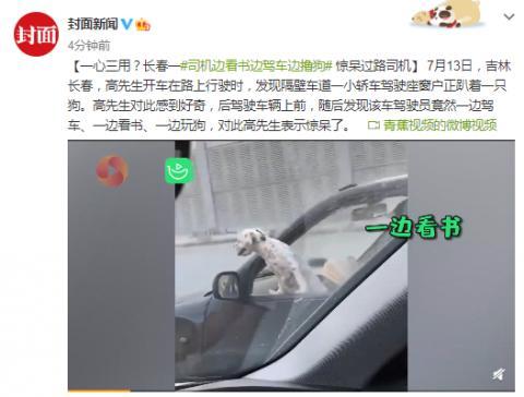 司机开车 一边舔狗一边看书 就像自动驾驶