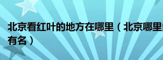 北京看红叶的地方在哪里（北京哪里的红叶最有名）