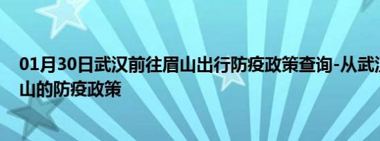 01月30日武汉前往眉山出行防疫政策查询-从武汉出发到眉山的防疫政策