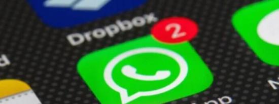 WhatsApp可能会在联系人列表中突出显示经常联系的聊天