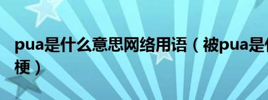 pua是什么意思网络用语（被pua是什么意思梗）