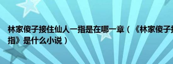 林家傻子接住仙人一指是在哪一章（《林家傻子接住仙人一指》是什么小说）