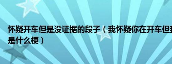 怀疑开车但是没证据的段子（我怀疑你在开车但我没有证据是什么梗）