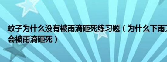 蚊子为什么没有被雨滴砸死练习题（为什么下雨天时蚊子不会被雨滴砸死）