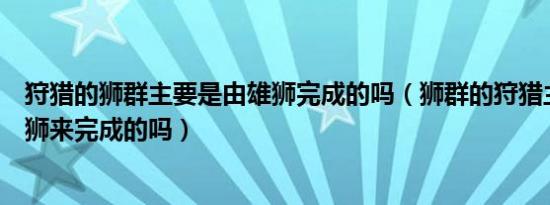 狩猎的狮群主要是由雄狮完成的吗（狮群的狩猎主要是由雄狮来完成的吗）