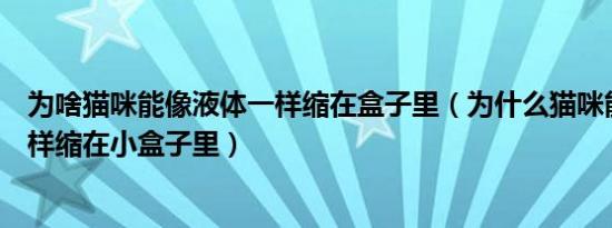 为啥猫咪能像液体一样缩在盒子里（为什么猫咪能像液体一样缩在小盒子里）