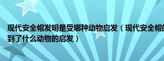 现代安全帽发明是受哪种动物启发（现代安全帽的发明是受到了什么动物的启发）