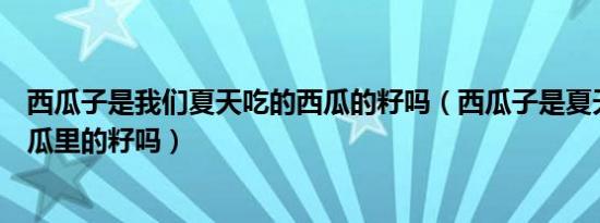 西瓜子是我们夏天吃的西瓜的籽吗（西瓜子是夏天常吃的西瓜里的籽吗）