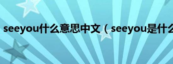 seeyou什么意思中文（seeyou是什么意思）