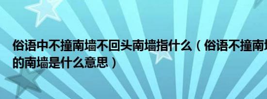 俗语中不撞南墙不回头南墙指什么（俗语不撞南墙不回头中的南墙是什么意思）