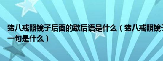 猪八戒照镜子后面的歇后语是什么（猪八戒照镜子歇后语下一句是什么）