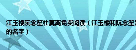 江玉楼阮念笙杜莫离免费阅读（江玉楼和阮念笙是什么小说的名字）