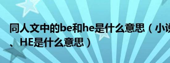 同人文中的be和he是什么意思（小说里的BE、HE是什么意思）