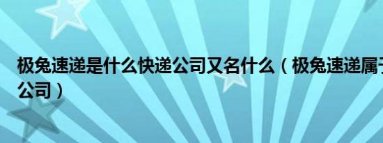 极兔速递是什么快递公司又名什么（极兔速递属于什么快递公司）