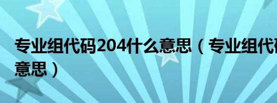 专业组代码204什么意思（专业组代码是什么意思）