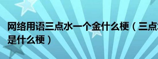 网络用语三点水一个金什么梗（三点水一个金是什么梗）