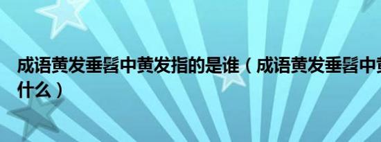 成语黄发垂髫中黄发指的是谁（成语黄发垂髫中黄发指的是什么）