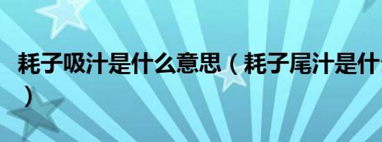 耗子吸汁是什么意思（耗子尾汁是什么意思呢）