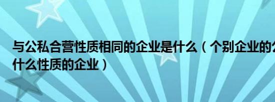 与公私合营性质相同的企业是什么（个别企业的公私合营是什么性质的企业）