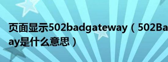 页面显示502badgateway（502BadGateway是什么意思）