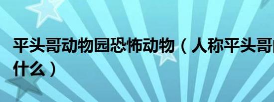 平头哥动物园恐怖动物（人称平头哥的动物是什么）