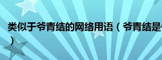 类似于爷青结的网络用语（爷青结是什么意思）