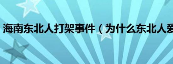 海南东北人打架事件（为什么东北人爱打架）