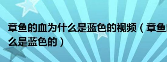 章鱼的血为什么是蓝色的视频（章鱼的血为什么是蓝色的）