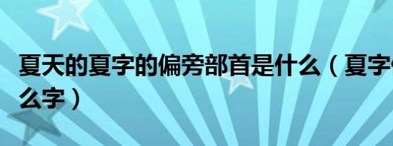 夏天的夏字的偏旁部首是什么（夏字偏旁是什么字）