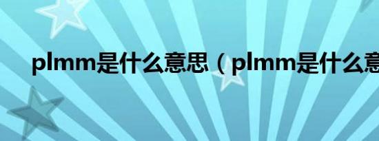 plmm是什么意思（plmm是什么意思）