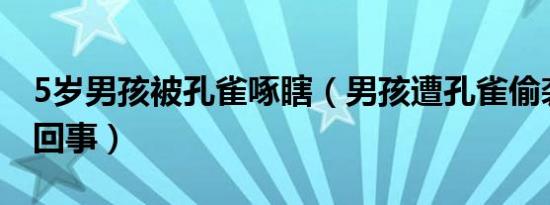 5岁男孩被孔雀啄瞎（男孩遭孔雀偷袭是怎么回事）