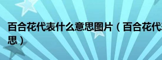 百合花代表什么意思图片（百合花代表什么意思）