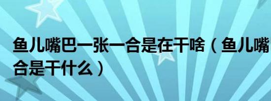 鱼儿嘴巴一张一合是在干啥（鱼儿嘴巴一张一合是干什么）