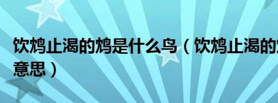 饮鸩止渴的鸩是什么鸟（饮鸩止渴的鸩是什么意思）