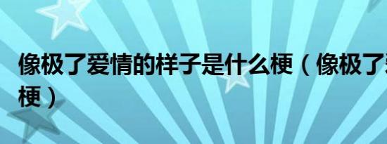 像极了爱情的样子是什么梗（像极了爱情什么梗）