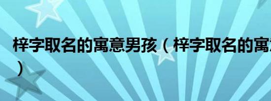 梓字取名的寓意男孩（梓字取名的寓意是什么）