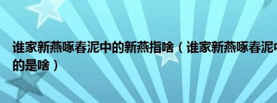 谁家新燕啄春泥中的新燕指啥（谁家新燕啄春泥中的新燕指的是啥）