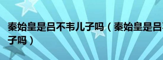 秦始皇是吕不韦儿子吗（秦始皇是吕不韦的儿子吗）