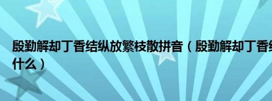 殷勤解却丁香结纵放繁枝散拼音（殷勤解却丁香结的意思是什么）