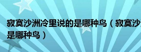 寂寞沙洲冷里说的是哪种鸟（寂寞沙洲冷说的是哪种鸟）