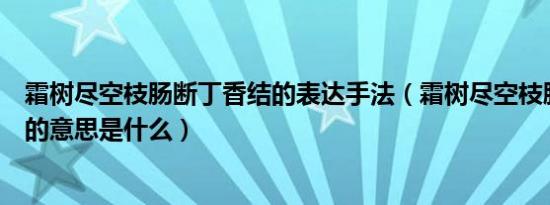 霜树尽空枝肠断丁香结的表达手法（霜树尽空枝肠断丁香结的意思是什么）