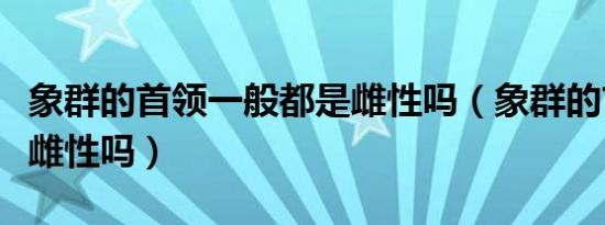 象群的首领一般都是雌性吗（象群的首领都是雌性吗）