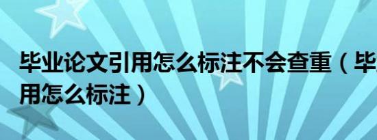 毕业论文引用怎么标注不会查重（毕业论文引用怎么标注）