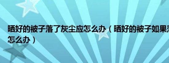 晒好的被子落了灰尘应怎么办（晒好的被子如果落了灰尘该怎么办）