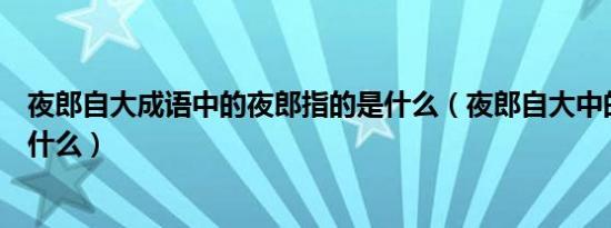 夜郎自大成语中的夜郎指的是什么（夜郎自大中的夜郎是指什么）