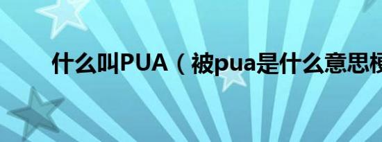 什么叫PUA（被pua是什么意思梗）